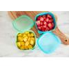 imageNUK Suction Plates and Lid2 Count Pack of 1